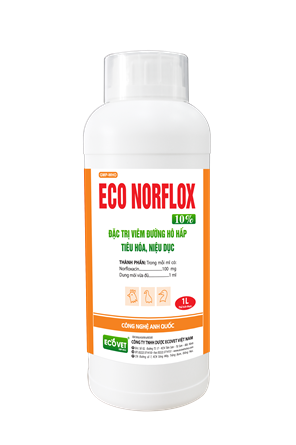 ECO NORFLOX 10% - Special treatment for inflammation of the respiratory tract, digestive tract, urogenital tract