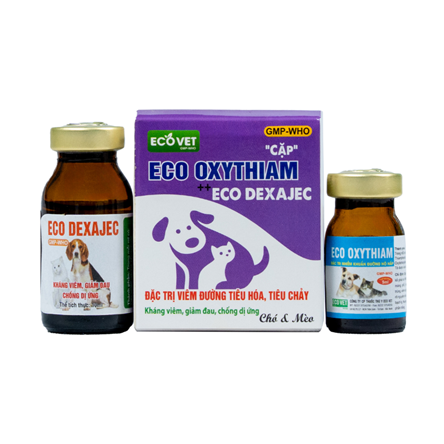 ECO DEXAJEC & ECO OXYTHIAM - Special treatment for infections - Anti-inflammatory, pain relief.