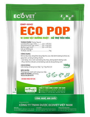 ECO POP - Vi sinh vật đường ruột - hỗ trợ tiêu hóa