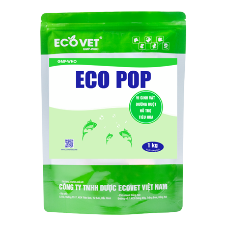 ECO POP PLUS - SUPER ENZYME FOR BOTTOM TREATMENT AND TOXIC GAS ABSORPTION