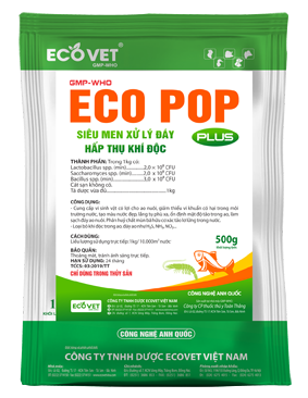 ECO POP PLUS - Siêu men xử lý đáy, hấp thụ khí độc