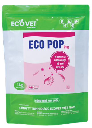 ECO POP PLUS - SUPER ENZYME FOR BOTTOM TREATMENT AND TOXIC GAS ABSORPTION