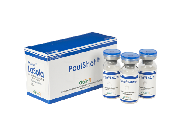 POULSHOT LASOTA - Phòng bệnh dịch tả ( ND).