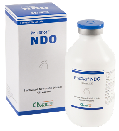 POULSHOT NDO - Phòng bệnh dịch tả gà ( NDO)