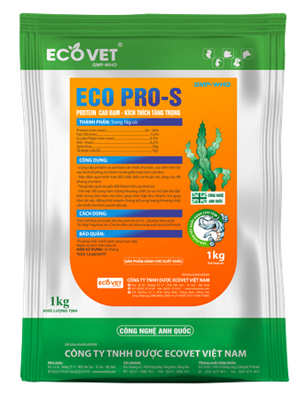 ECO PRO S - Bổ sung Protein cao đạm, kích thích tăng trọng