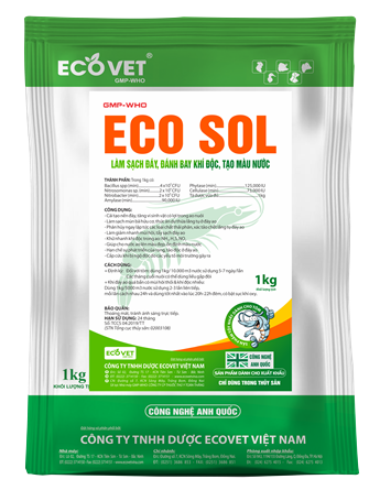 ECO SOL - Clean the bottom, remove toxic gas, create water color