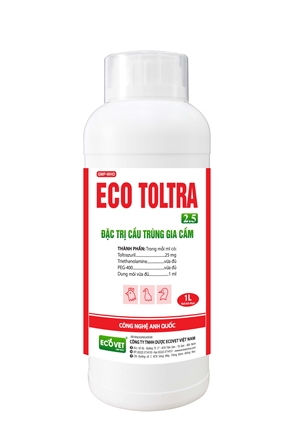 ECO TOLTRA 2.5 - Special treatment of Coccidiosis on Poultry