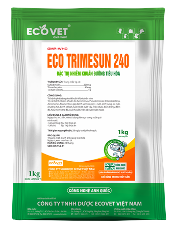 ECO TRIMESUN 240 - Đặc trị bệnh đường ruột