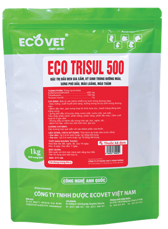 ECO - TRISUL 500 - A new generation of antibiotics, specifically for the treatment of respiratory infections.