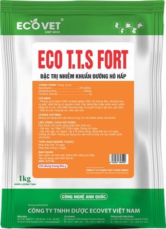 ECO T.T.S FORT - Đặc trị nhiễm khuẩn đường hô hấp