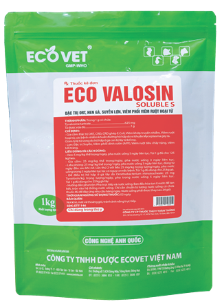 ECO - VALOSIN SOLUBLE S - Special treatment of ORT, chicken asthma, swine asthma, pneumonia, necrotizing appendicitis.