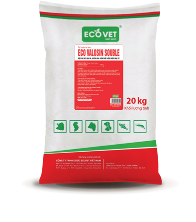 ECO VALOSIN SOLUBLE - SPECIALIZES IN TREATING ORT, CHICKEN ASTHMA, PIG ASTHMA, PNEUMONIA, NECROTIZING ENTERITIS