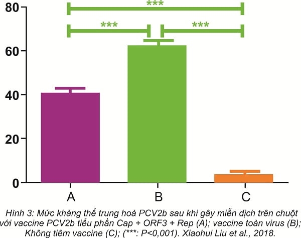 LOẠI VACCINE PCV2 NÀO PHÙ HỢP CHO TRANG TRẠI CỦA BẠN?