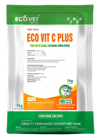 ECO VIT C PLUS - Tăng cường sức đề kháng, chống stress, lớn nhanh.