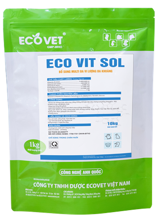 ECO - VIT SOL (Nugget form) - Beautiful code, jaundice, increased absorption and metabolism of food.