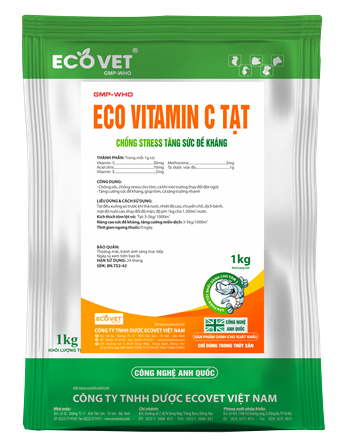 ECO VITAMIN C TẠT - Chống stress, tăng cường sức đề kháng.