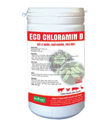 ECO CHLORAMINE B - Water treatment, disinfection, sterilization.