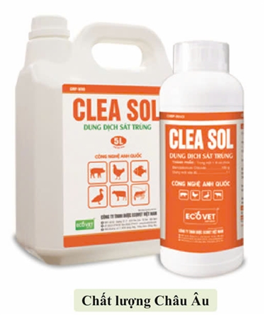 ECO - CLEA SOL - Antiseptic solution.